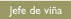 Jefes de vi�a