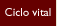 Ciclo Vital